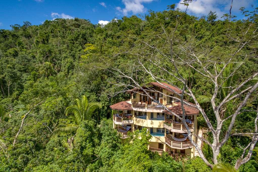 Sleeping Giant Rainforest Lodge Belmopan Exteriér fotografie